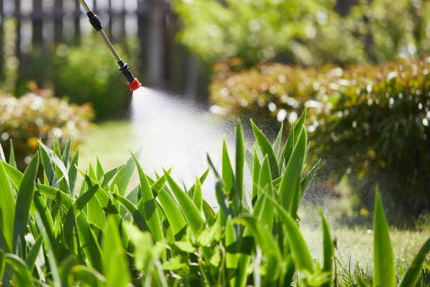 24/7 Emergency Cockroach Control experts in Jeffersontown, KY