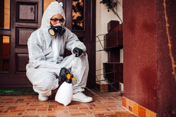 Reliable Cockroach Control contractor in Jeffersontown, KY by Nex Pest Control